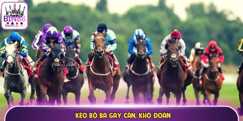 Cá cược đua ngựa mang đến cảm giác gay cấn