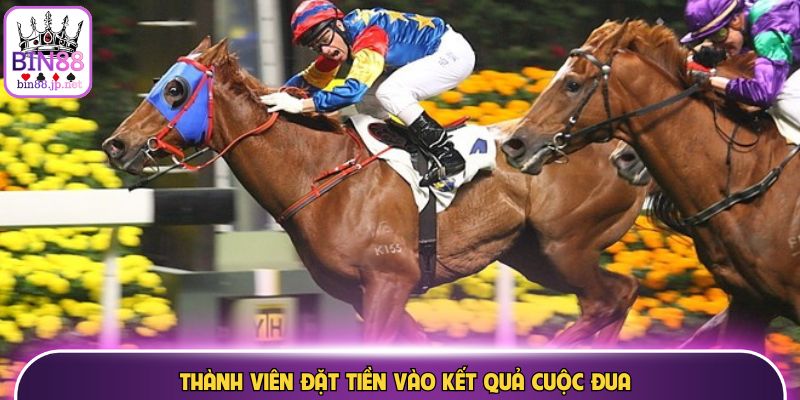 Thành viên đặt tiền vào kết quả cuộc đua