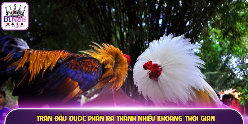 Trận đấu được phân ra thành nhiều khoảng thời gian
