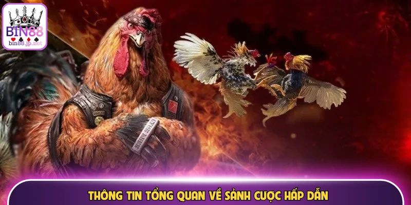 Thông tin tổng quan về sảnh cược hấp dẫn