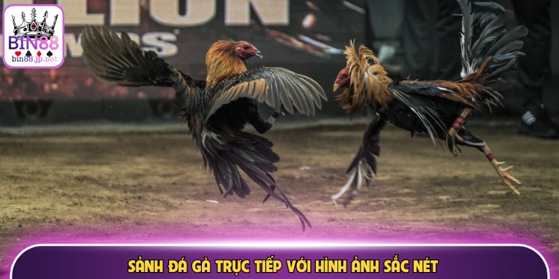 Ưu điểm vượt trội khi tham gia trực tuyến