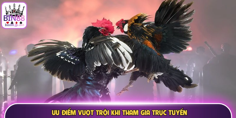 Sảnh đá gà trực tiếp với hình ảnh sắc nét