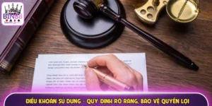 Điều khoản sử dụng