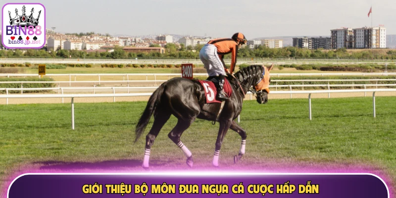 Giới thiệu bộ môn đua ngựa cá cược hấp dẫn