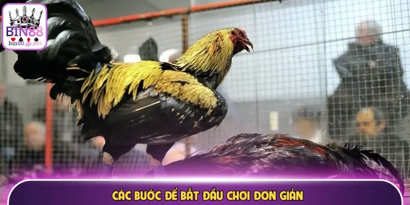 Các bước để bắt đầu chơi đơn giản