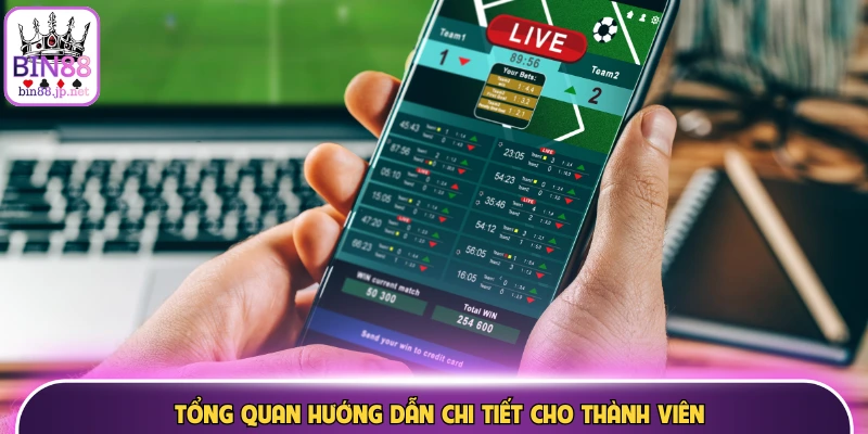 Tổng quan hướng dẫn chi tiết cho thành viên