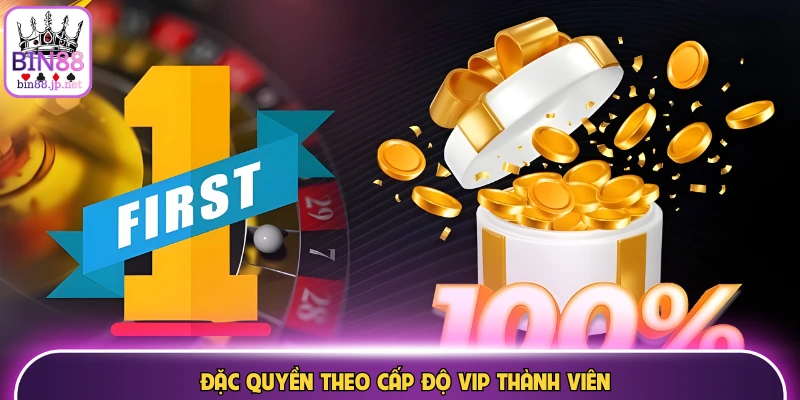 Đặc quyền theo cấp độ VIP thành viên