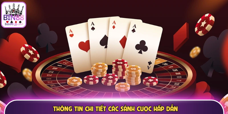 Thông tin chi tiết các sảnh cược hấp dẫn