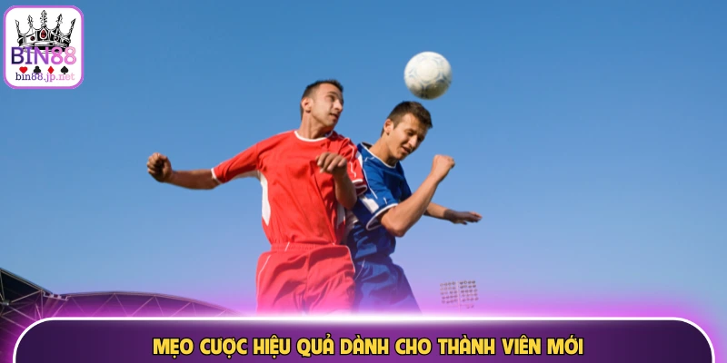 Mẹo cược hiệu quả dành cho thành viên mới